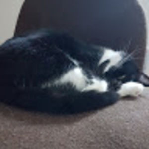 Meet your Posher, Lydia